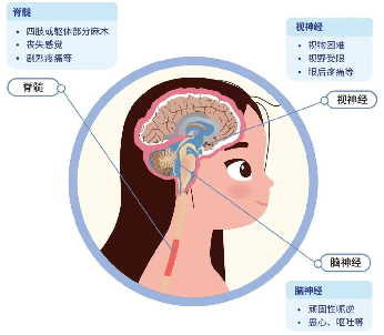 微信图片_2025-08-15_080934_853.png