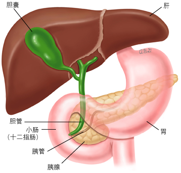 微信图片_2025-09-03_081705_914.png