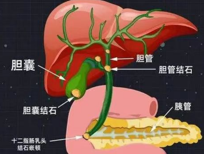 微信图片_2025-09-03_081719_826.png