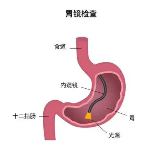微信图片_2025-09-04_081756_164.png