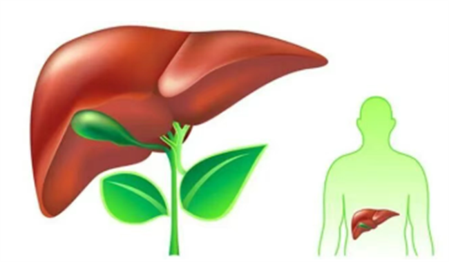 bf47c91155c7509bcfe0bba496823d21.png bf47c91155c7509bcfe0bba496823d21.png